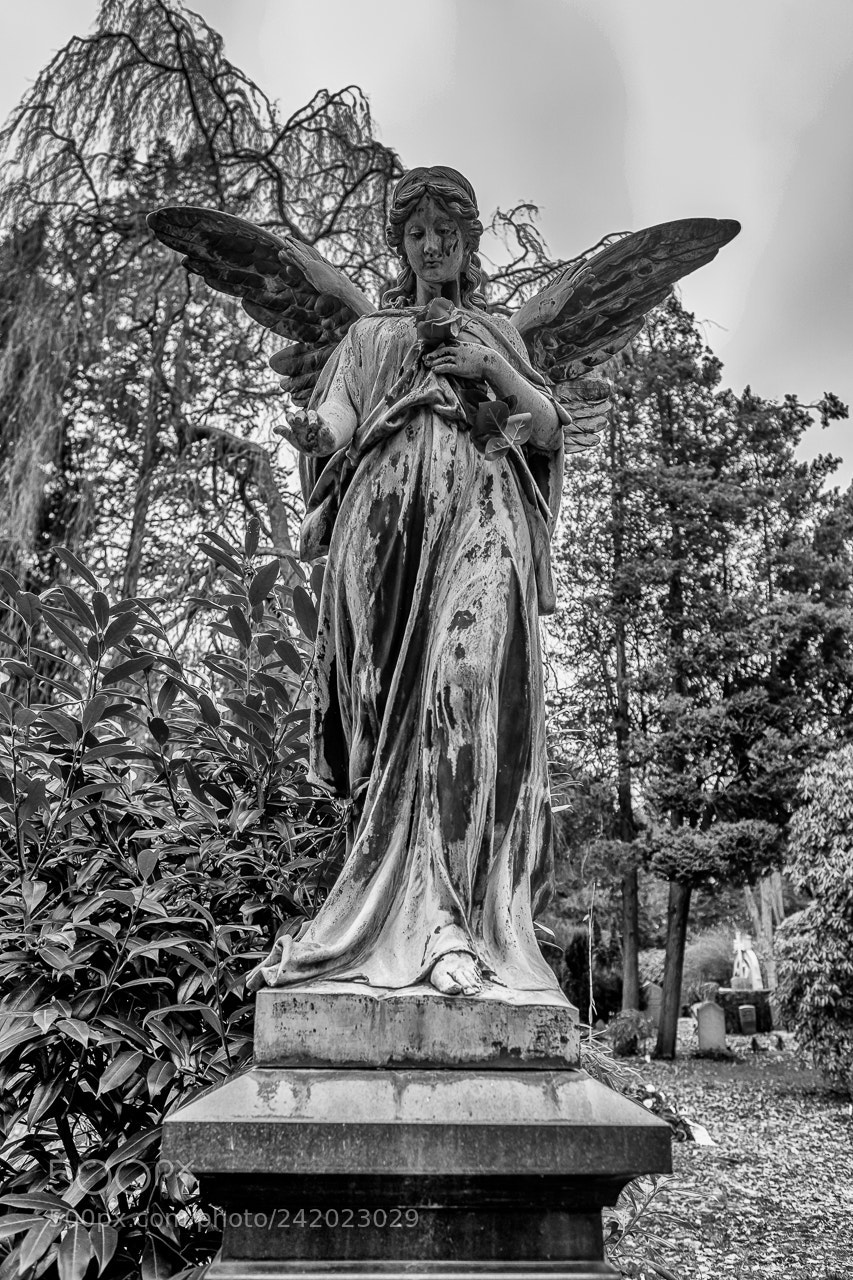 Fujifilm X-Pro2 sample photo. Angel photography