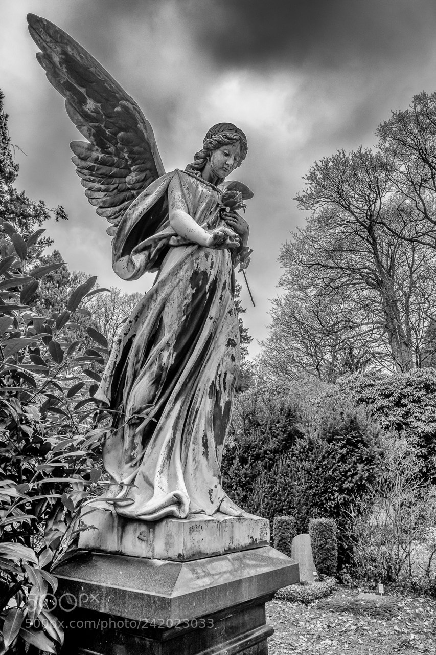 Fujifilm X-Pro2 sample photo. Angel photography
