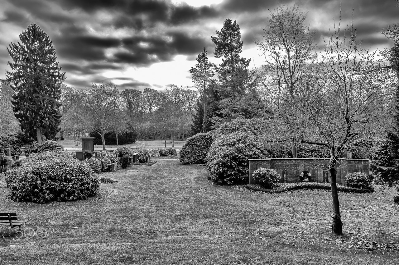 Fujifilm X-Pro2 sample photo. Park landscape photography