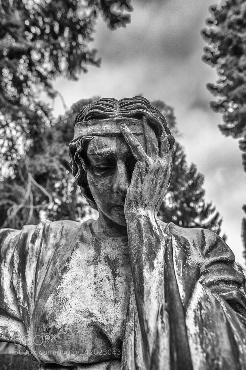 Fujifilm X-Pro2 sample photo. Mourning photography