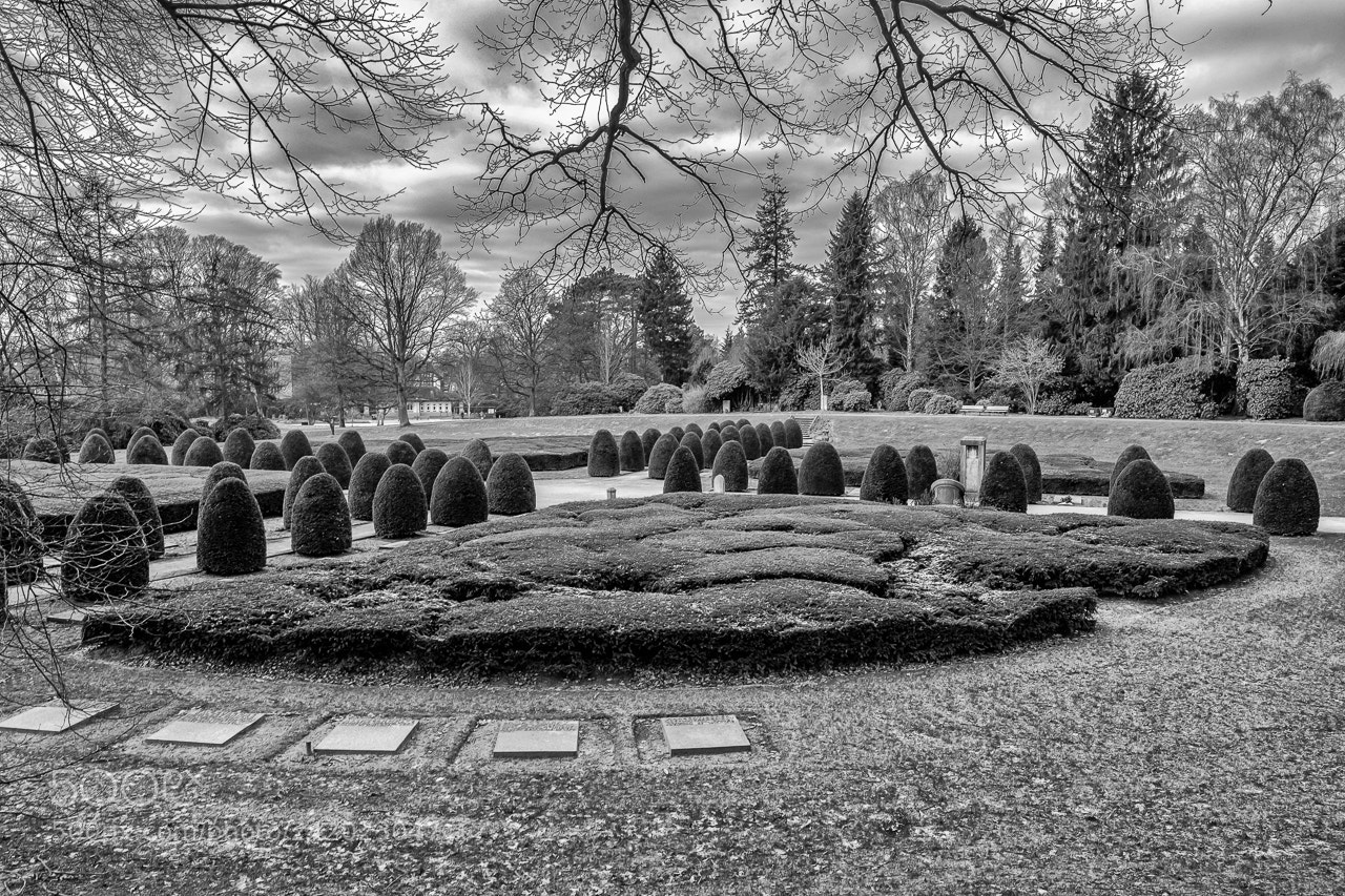 Fujifilm X-Pro2 sample photo. Park landscape photography