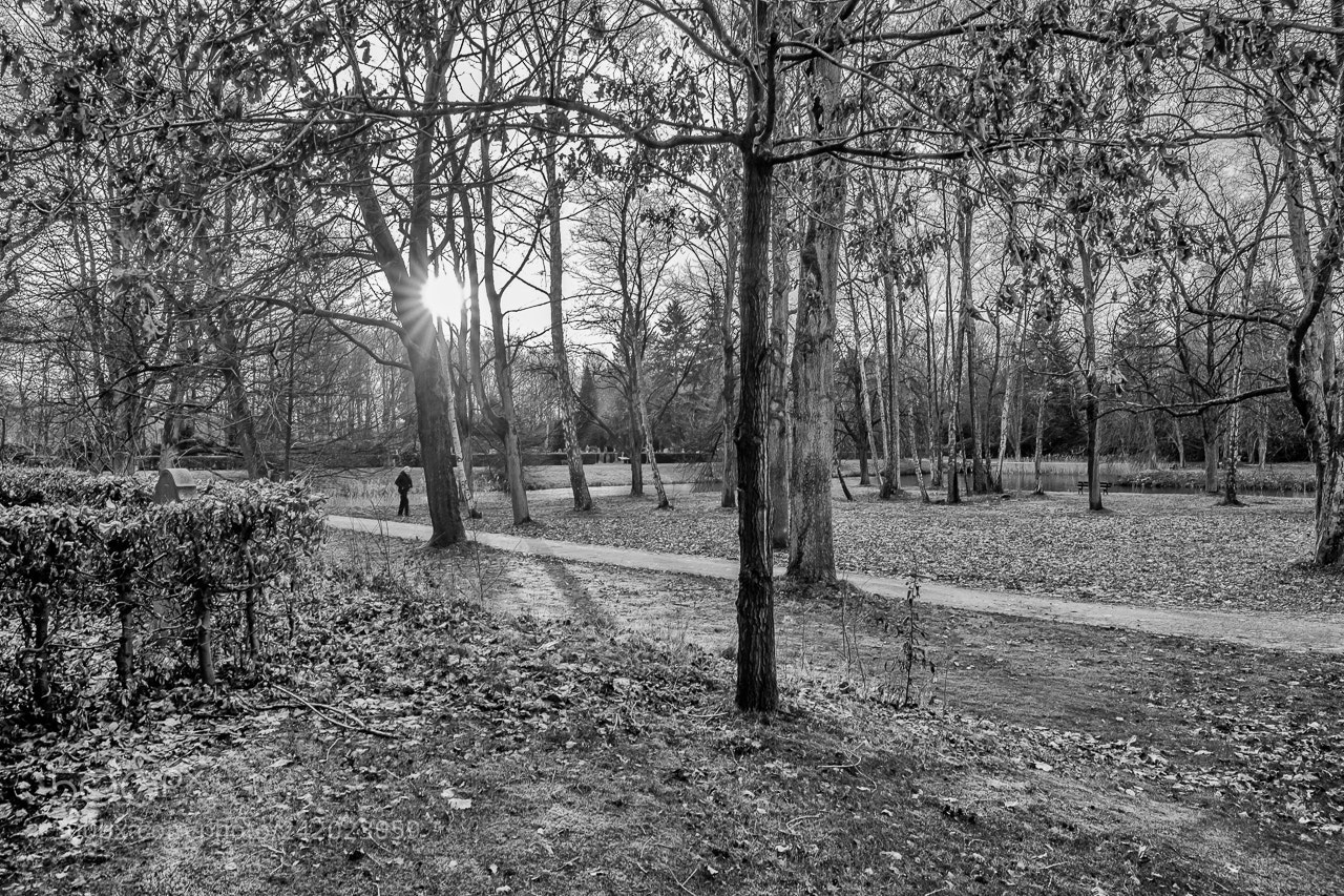 Fujifilm X-Pro2 sample photo. Park landscape photography