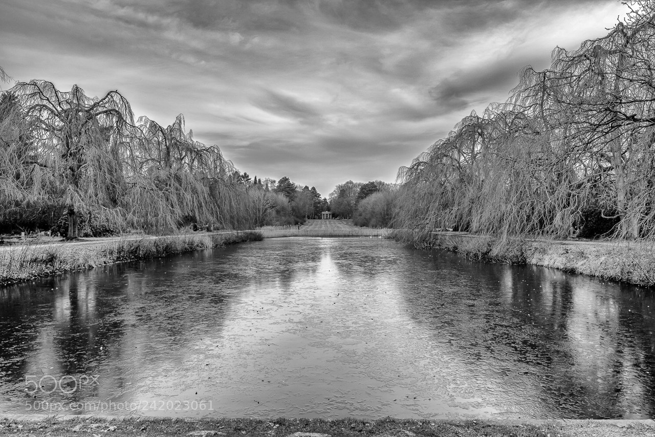 Fujifilm X-Pro2 sample photo. Park landscape photography