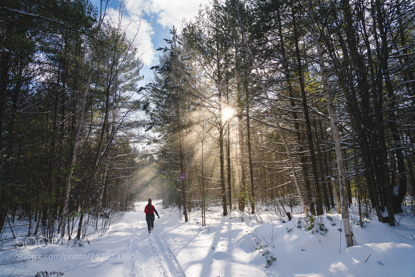 Sony a7R III sample photo. Snowbeams photography