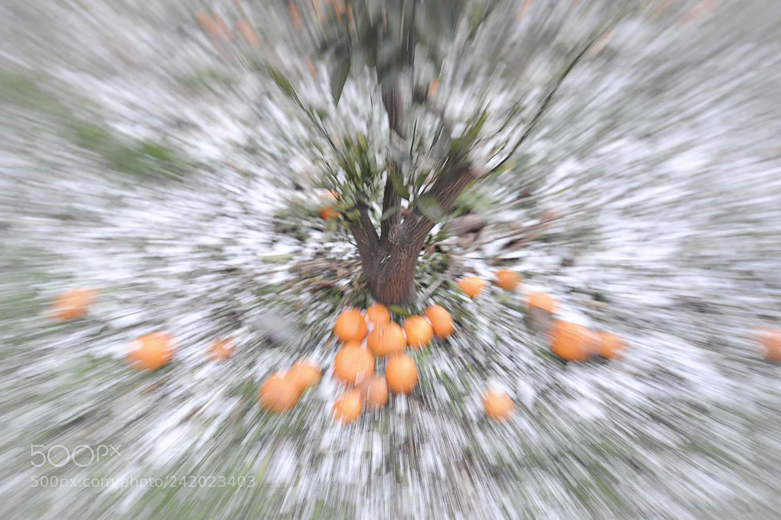 Nikon D3 sample photo. Winter is coming photography