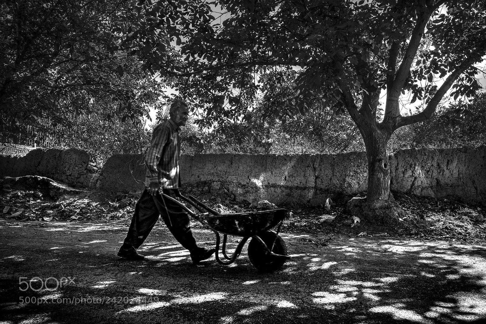 Fujifilm X-T2 sample photo. Iran/tehran photography
