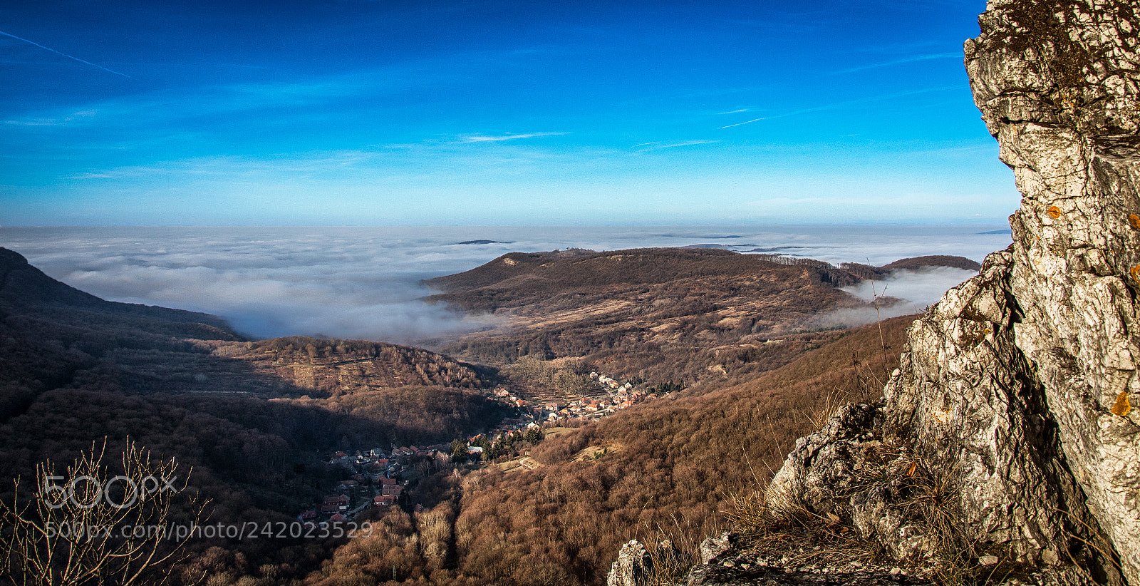 Nikon D7200 sample photo. Rocky - foggy photography