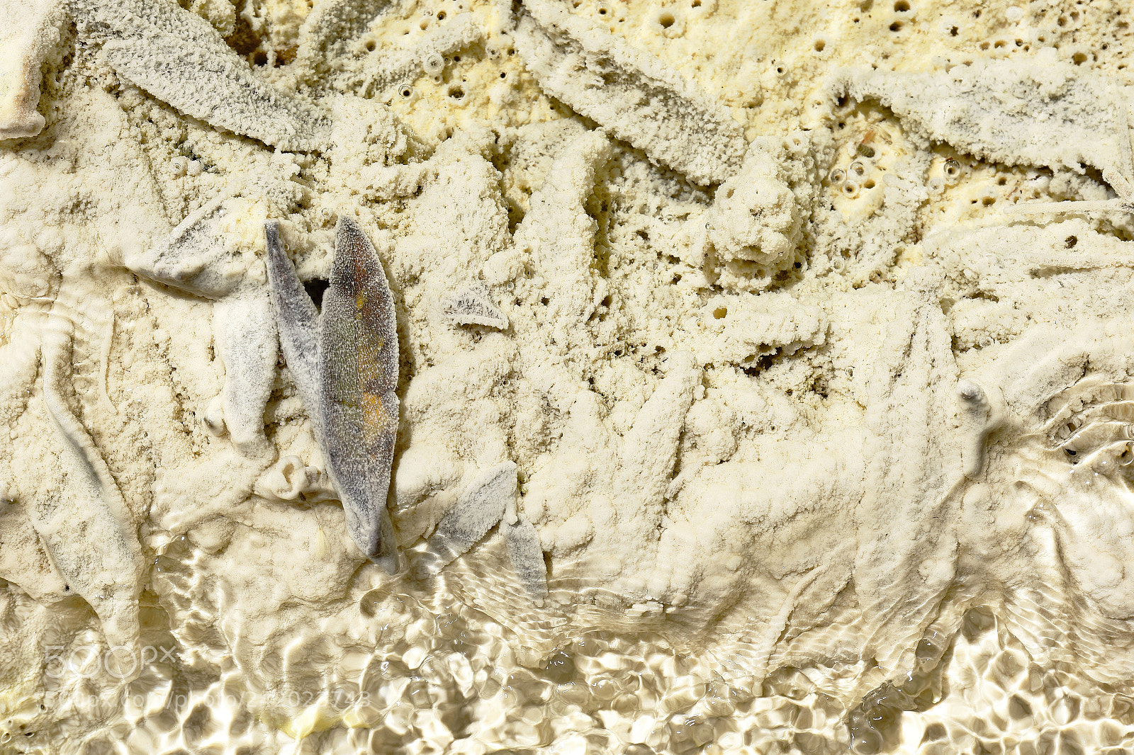 Canon EOS 7D Mark II sample photo. Aguas termales, detalle photography