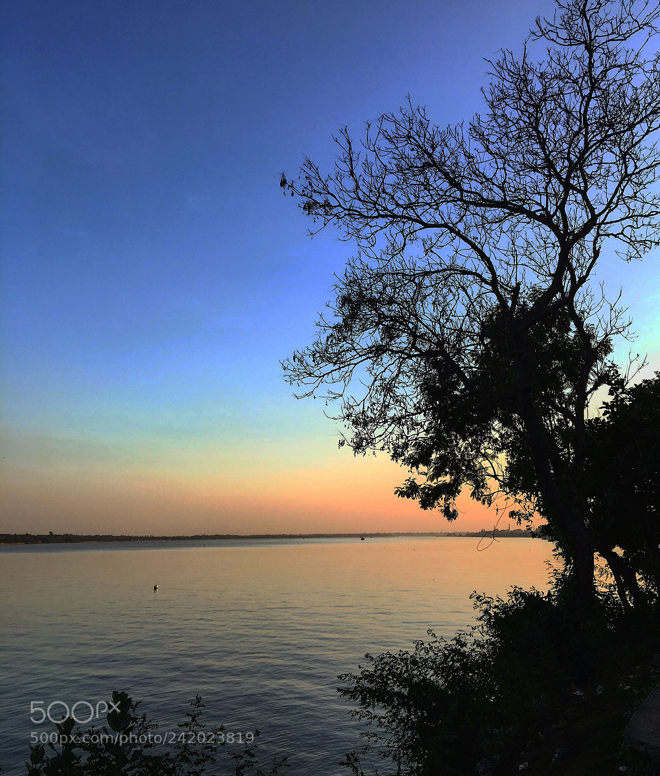 Apple iPhone 6s sample photo. This photo is taken photography