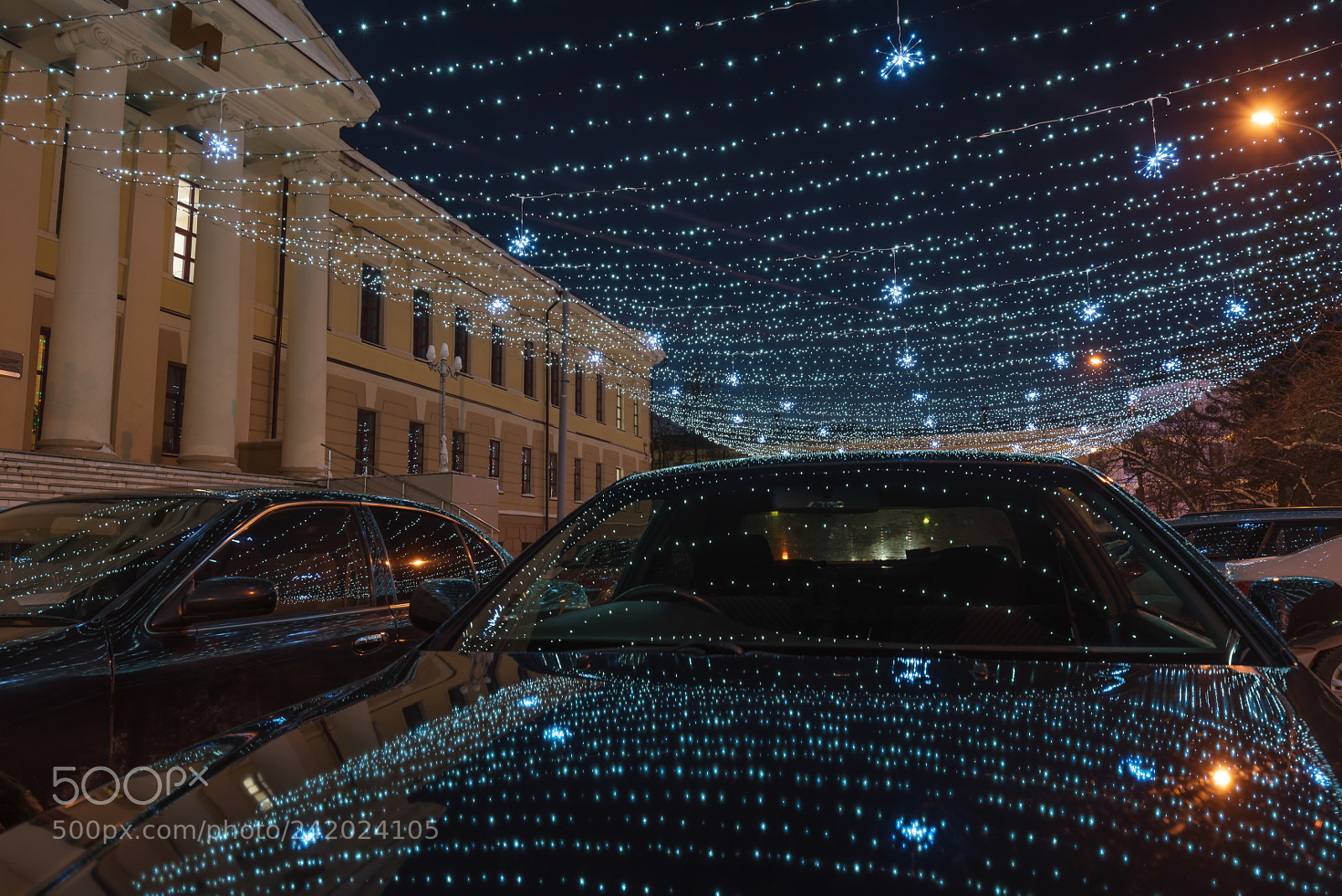 Nikon D810 sample photo. Winter illumination photography