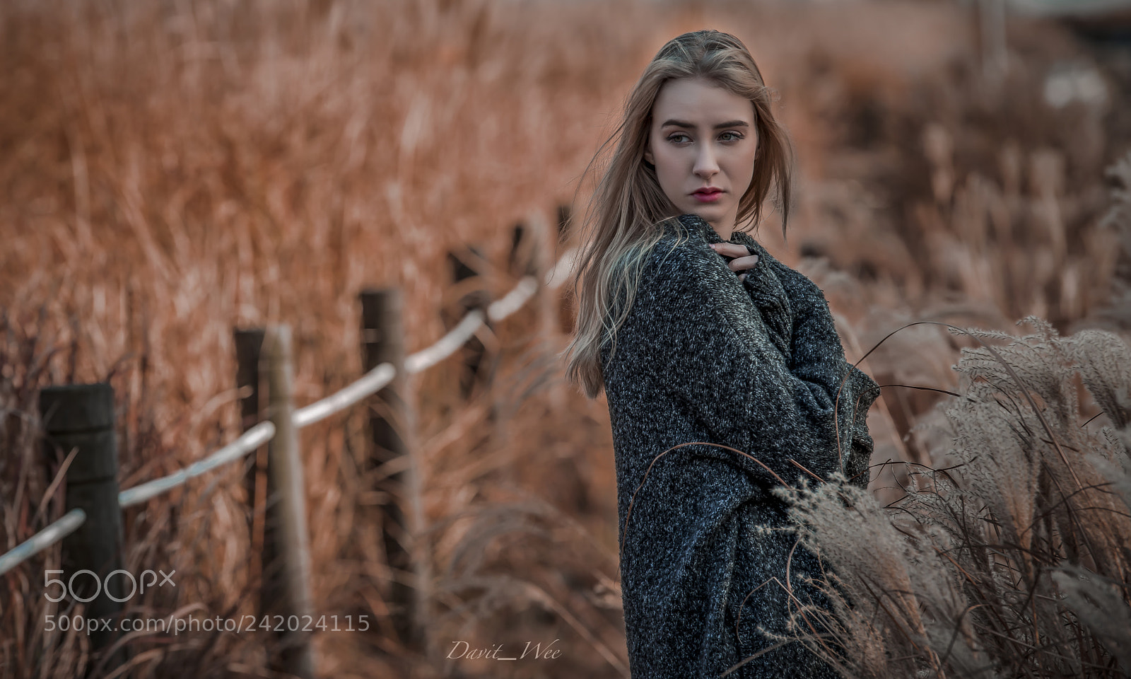 Nikon D810 sample photo. Haneully photography