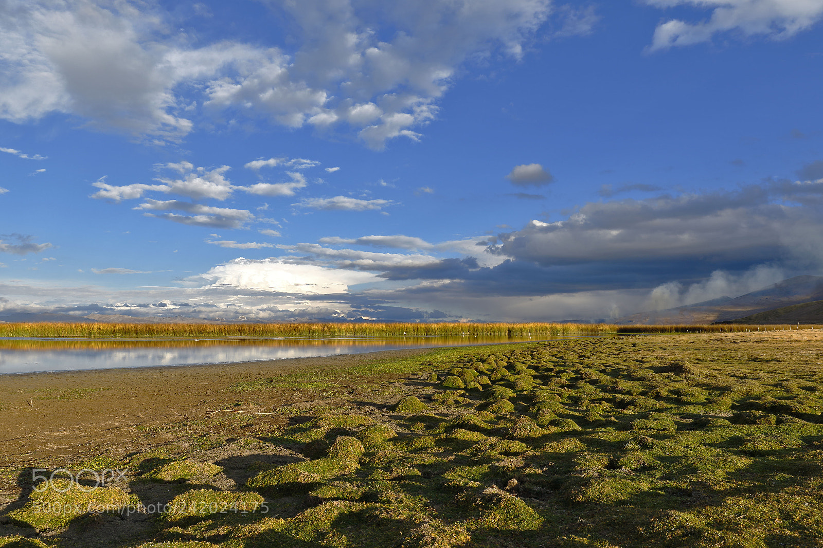 Canon EOS 7D Mark II sample photo. Orillas del lago jun photography
