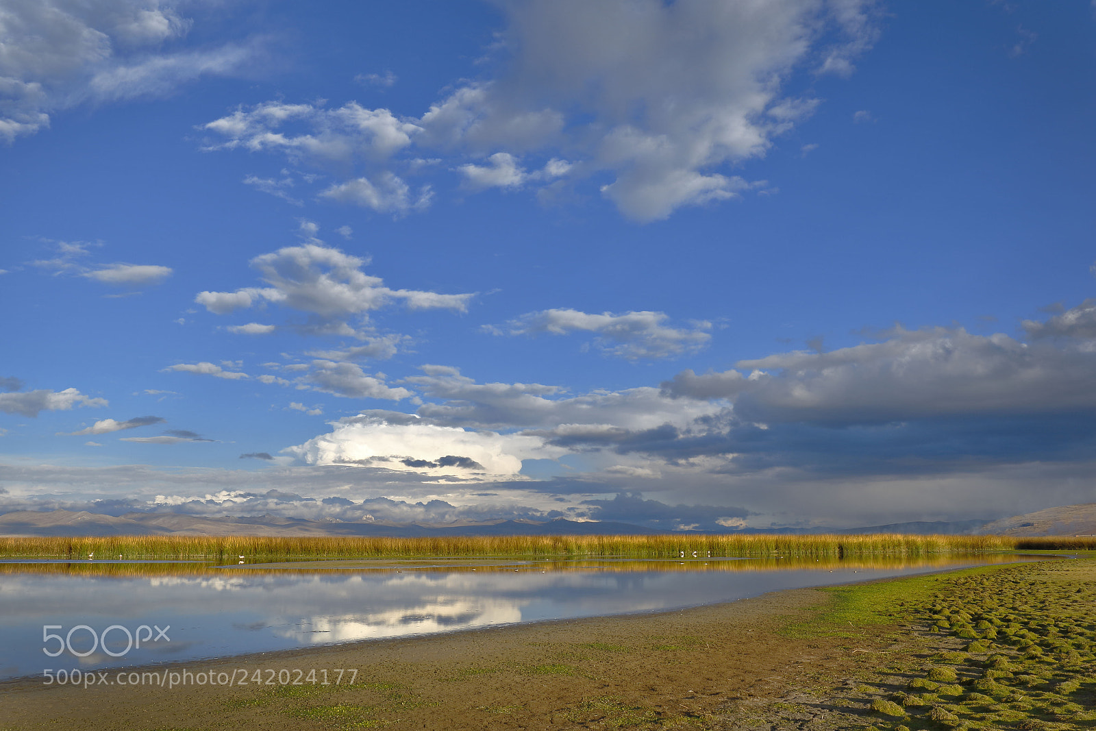 Canon EOS 7D Mark II sample photo. Orillas del lago jun photography