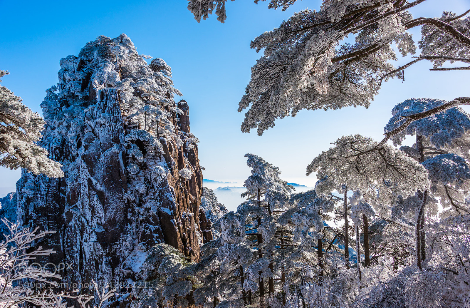 Nikon D810 sample photo. White world  photography