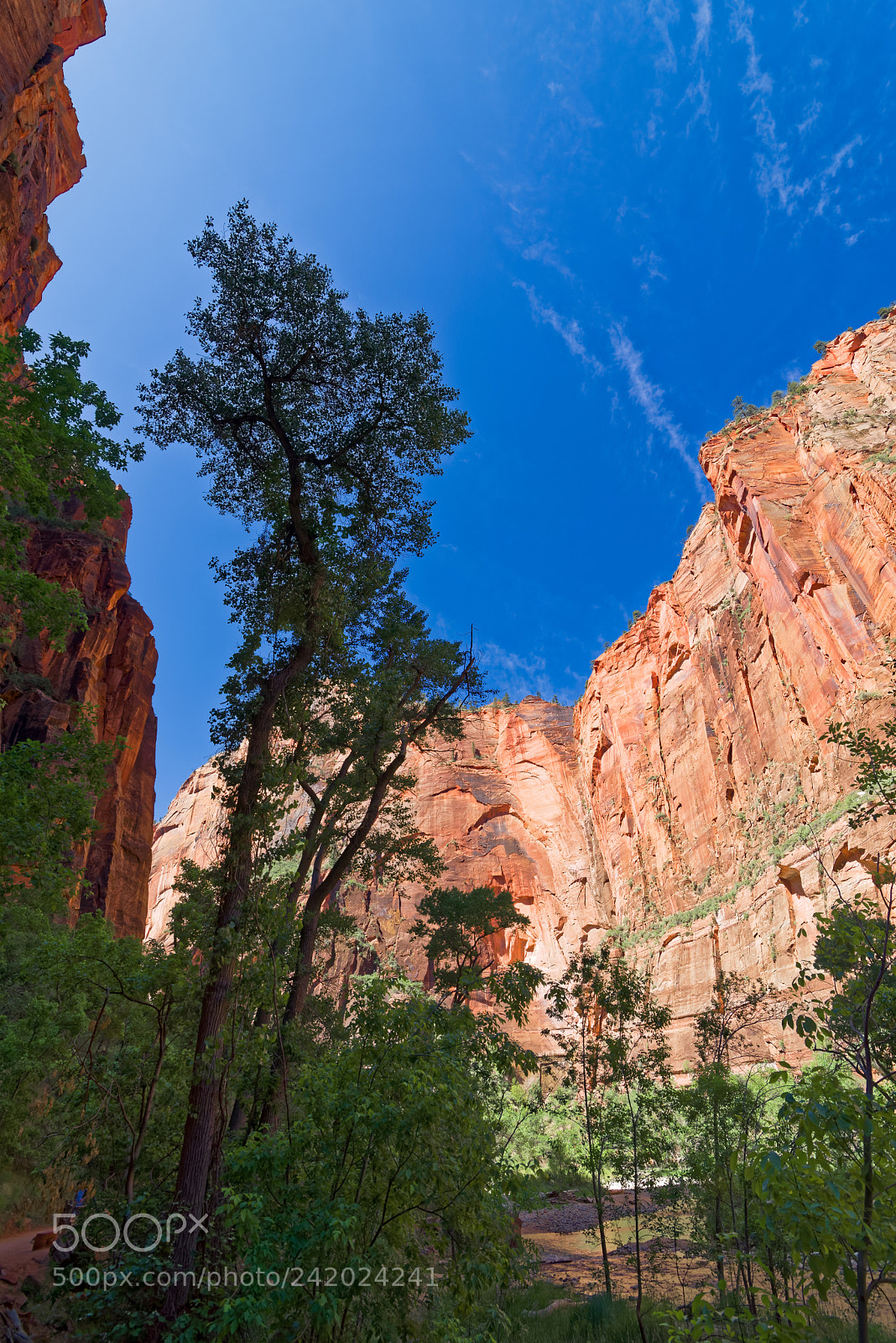 Nikon D800 sample photo. Canyons in the state photography