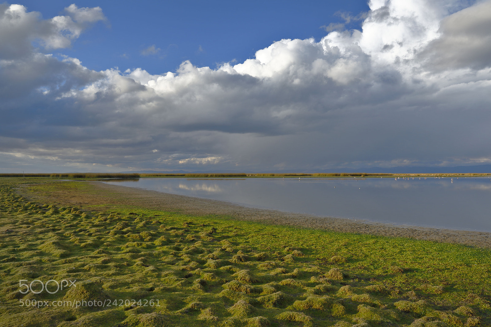 Canon EOS 7D Mark II sample photo. Orillas del lago jun photography