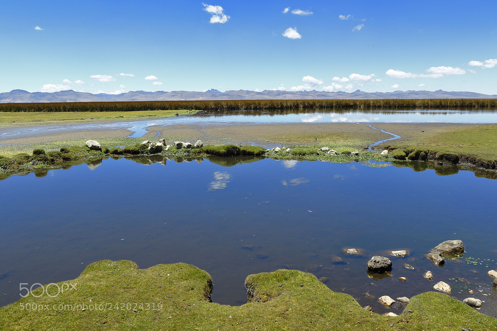 Canon EOS 7D Mark II sample photo. Orillas del lago jun photography