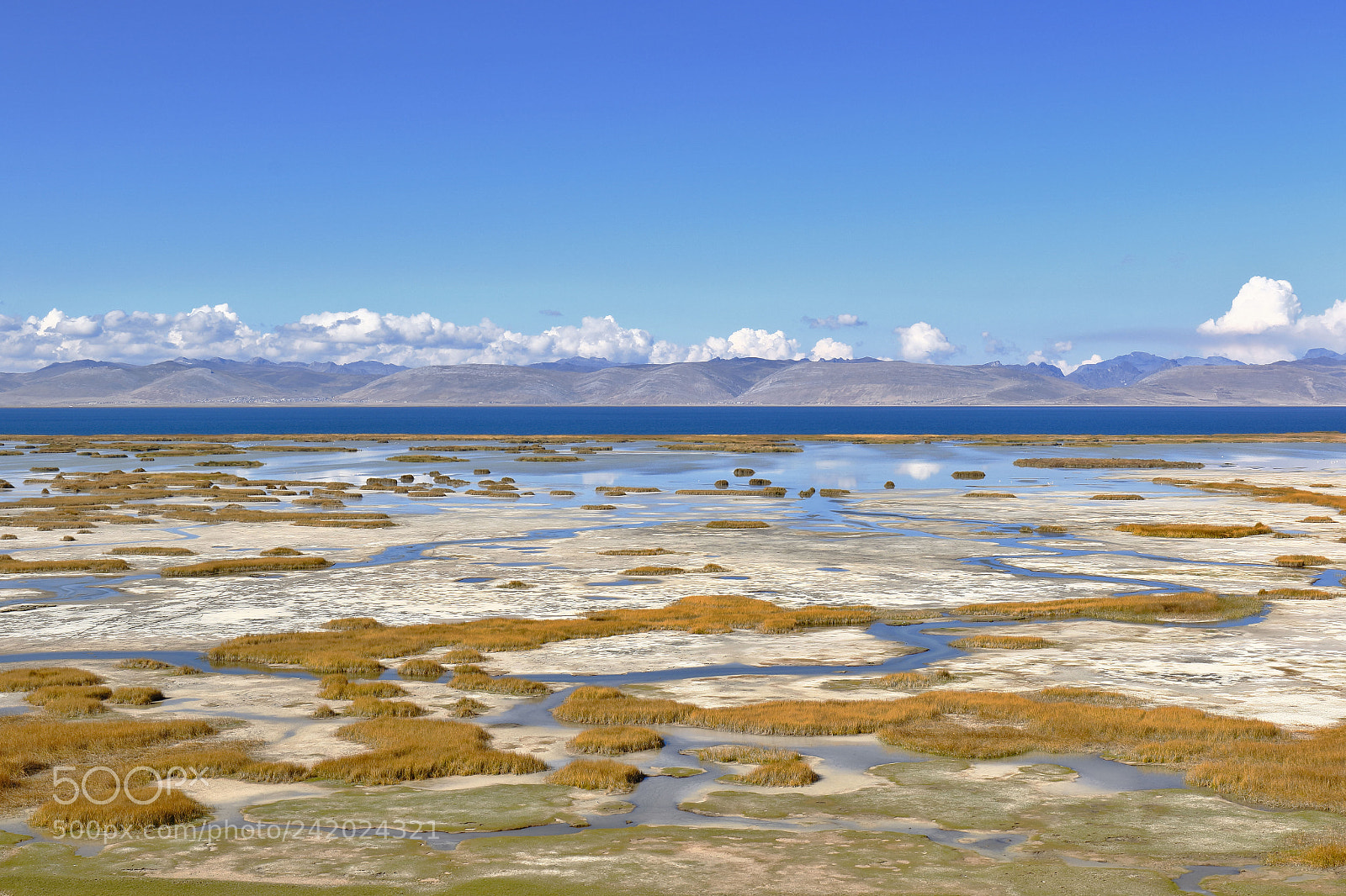 Canon EOS 7D Mark II sample photo. Orillas del lago jun photography