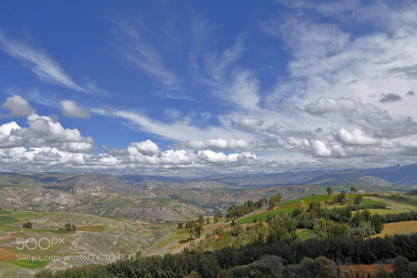 Canon EOS 7D Mark II sample photo. Fundo la cosecha del photography