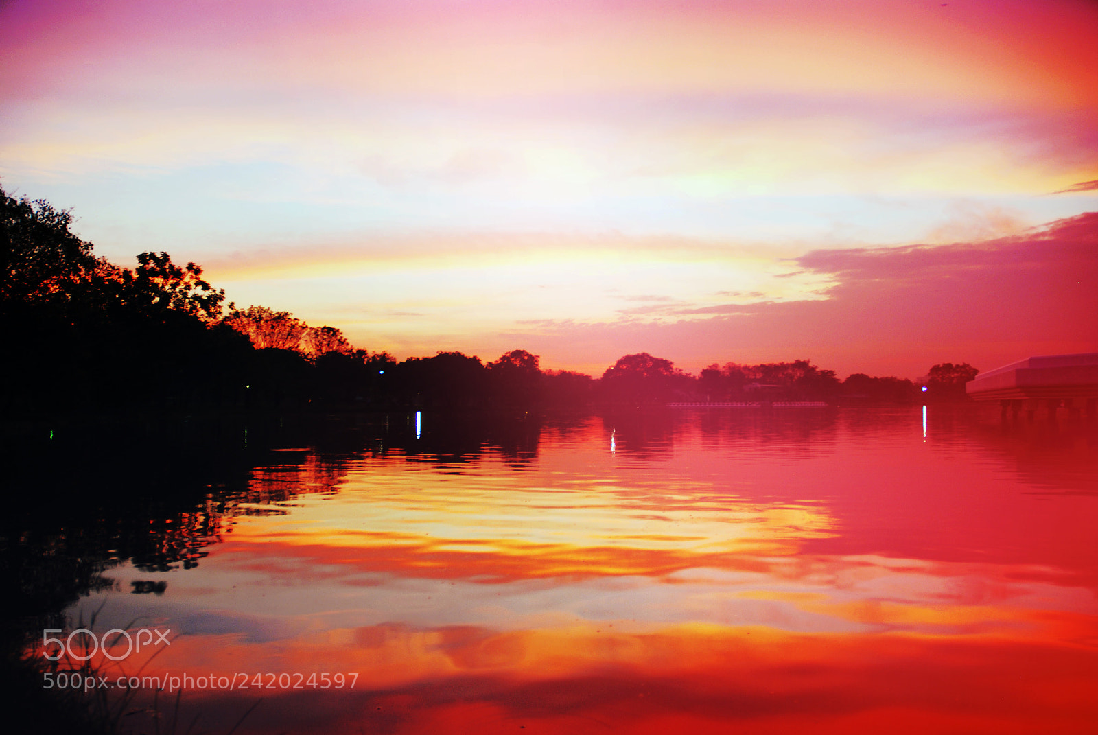 Nikon D80 sample photo. Beautiful sunlight, sunrise and photography