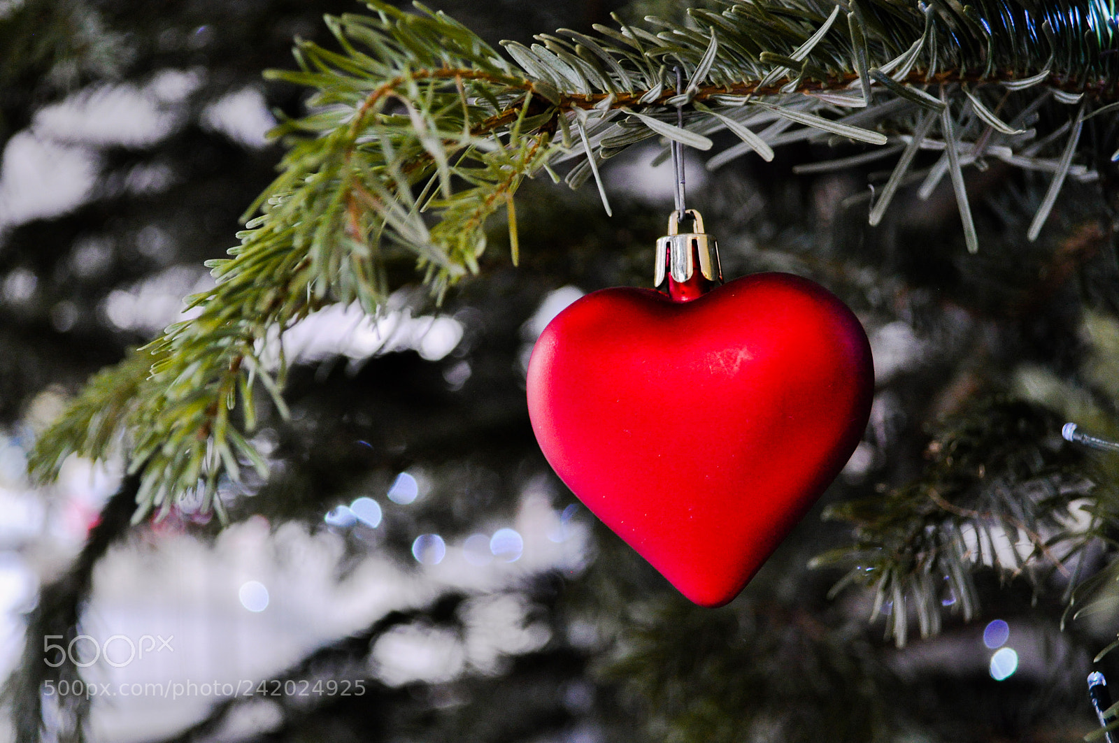 Nikon D5000 sample photo. Untitled photography