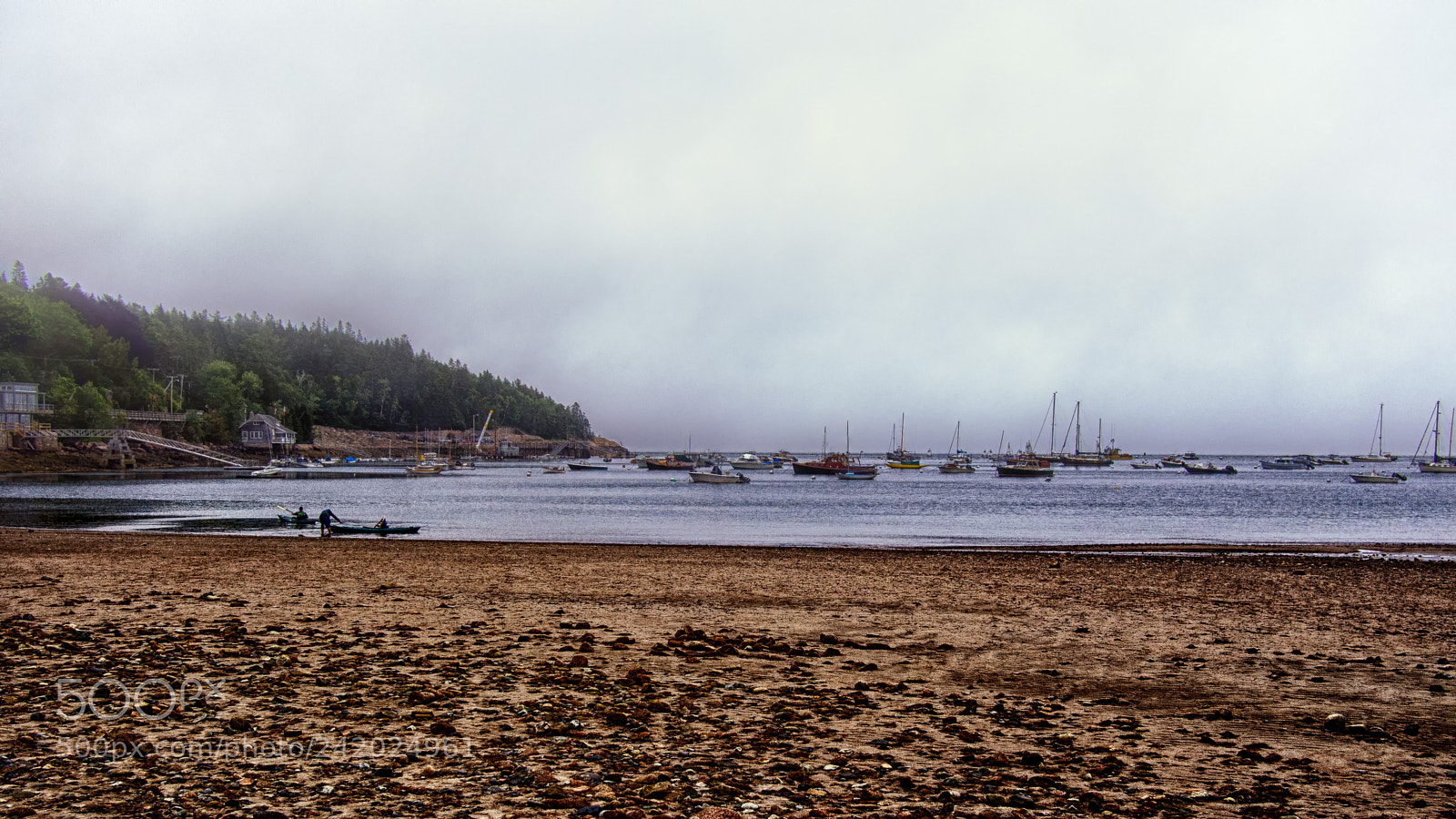 Olympus OM-D E-M5 sample photo. Seal harbor (color) photography