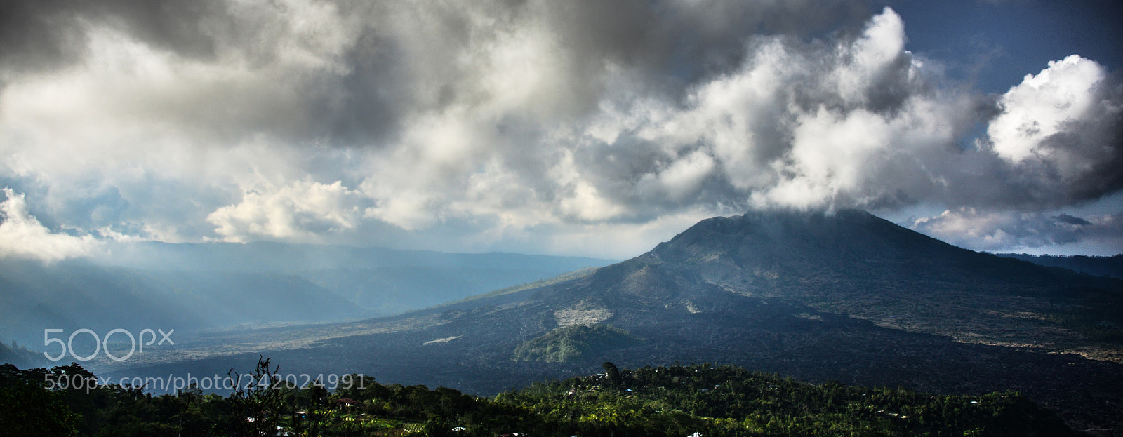 Nikon D800 sample photo. Untitled photography