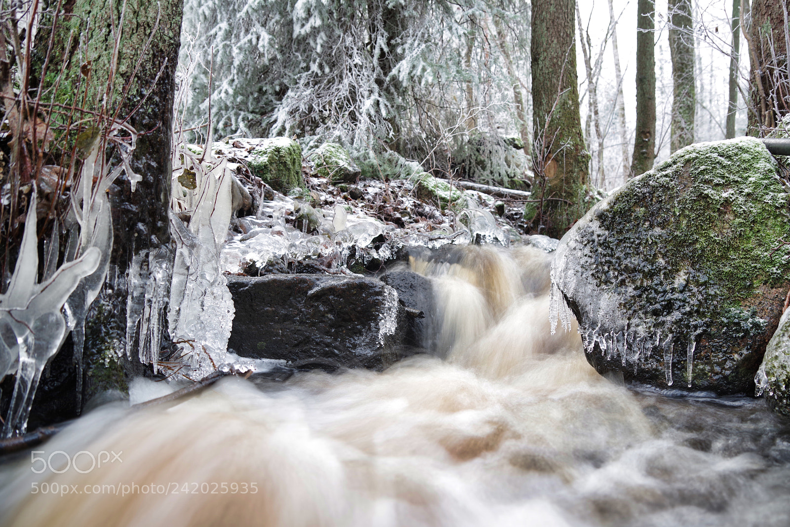 Pentax K-1 sample photo. Frozen photography
