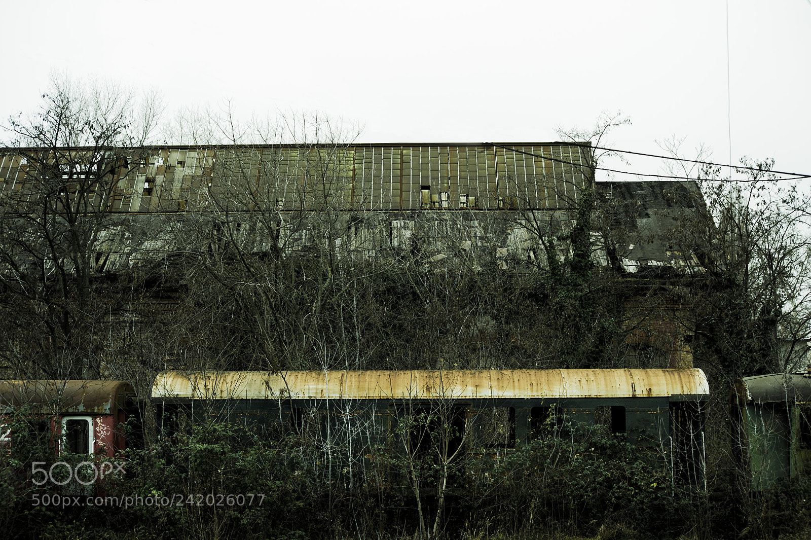 Nikon D700 sample photo. Terminus.. photography