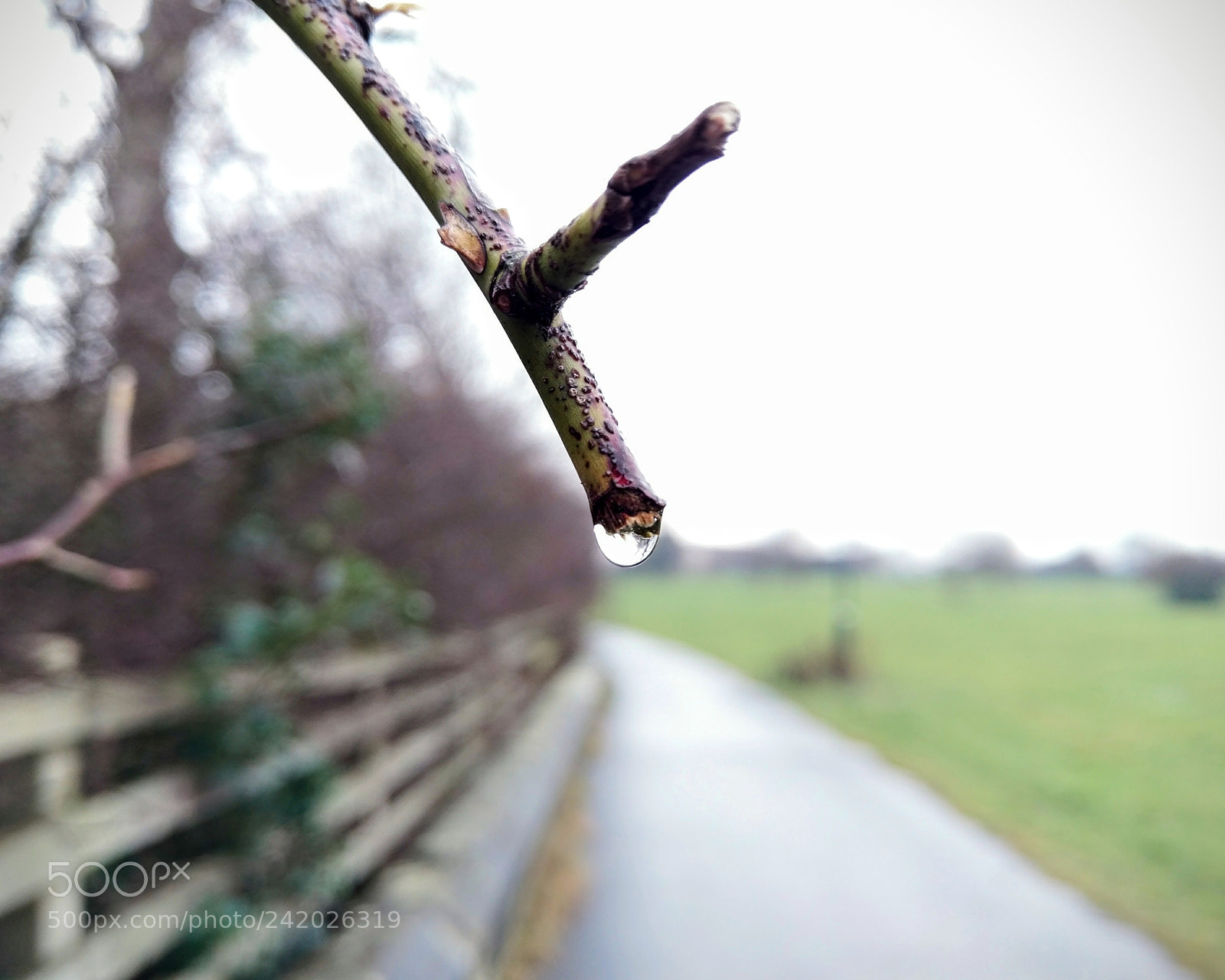 HTC 10 sample photo. Crystal photography