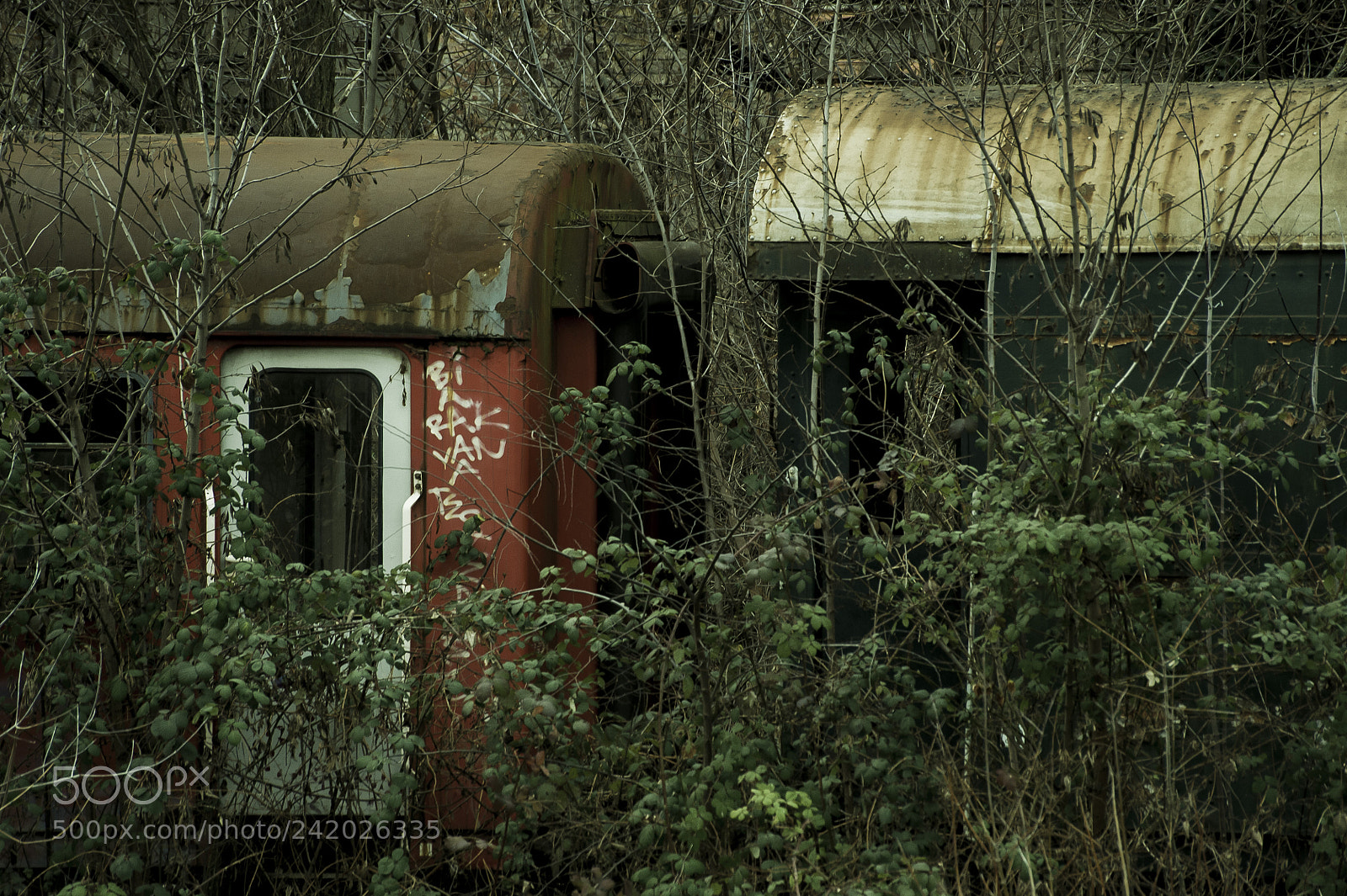 Nikon D700 sample photo. Terminus.. photography