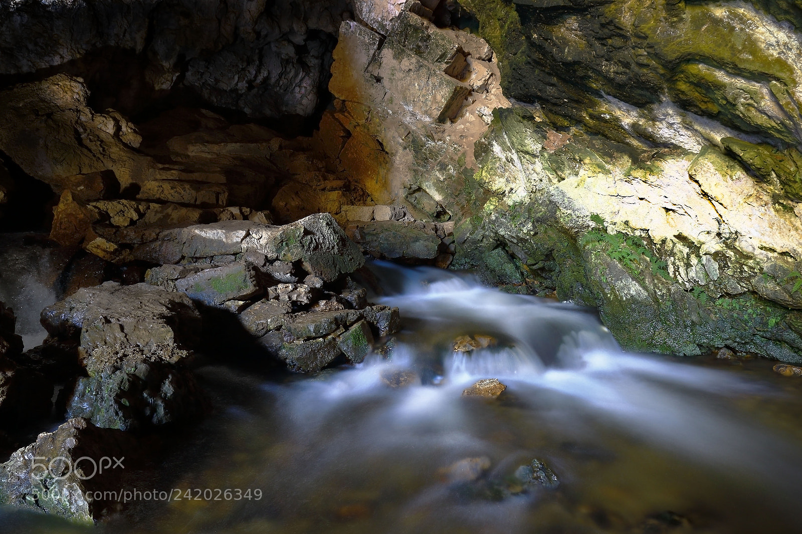 Canon EOS 7D Mark II sample photo. R o dentro de photography