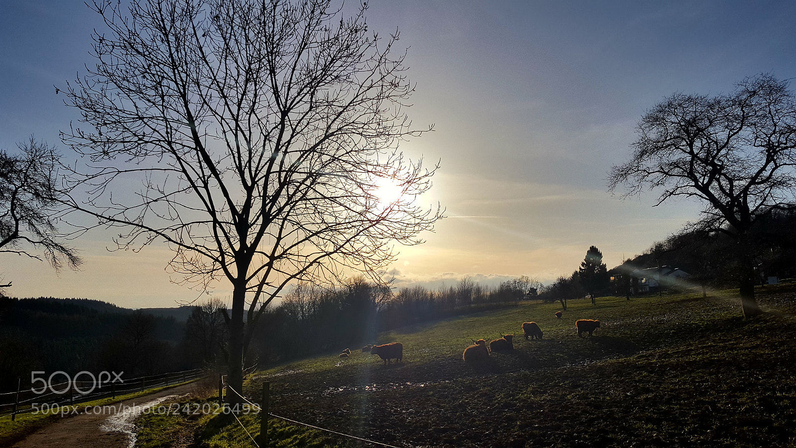 Samsung Galaxy S6 sample photo. Home photography