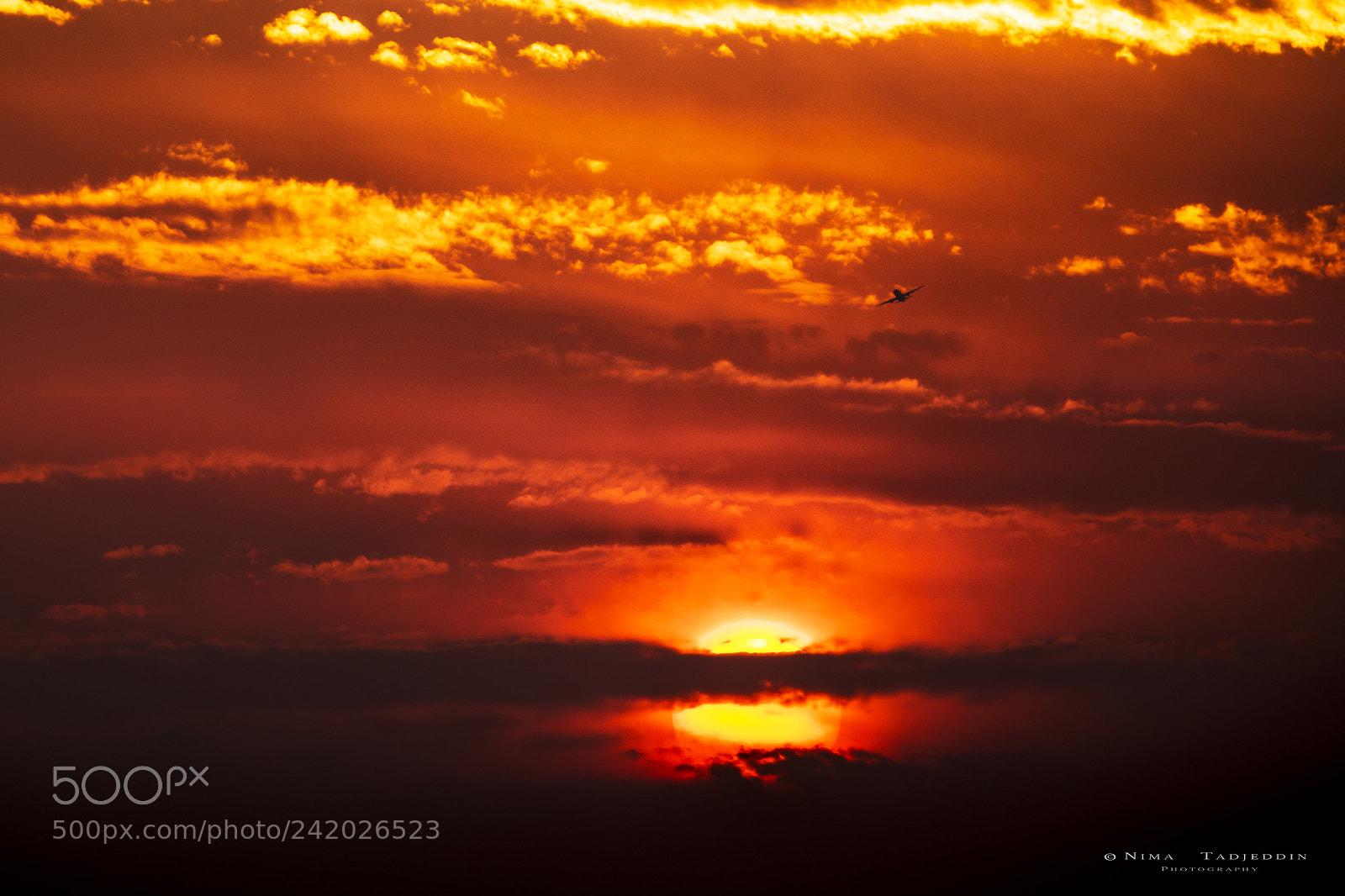 Canon EOS 5DS R sample photo. Go trip photography