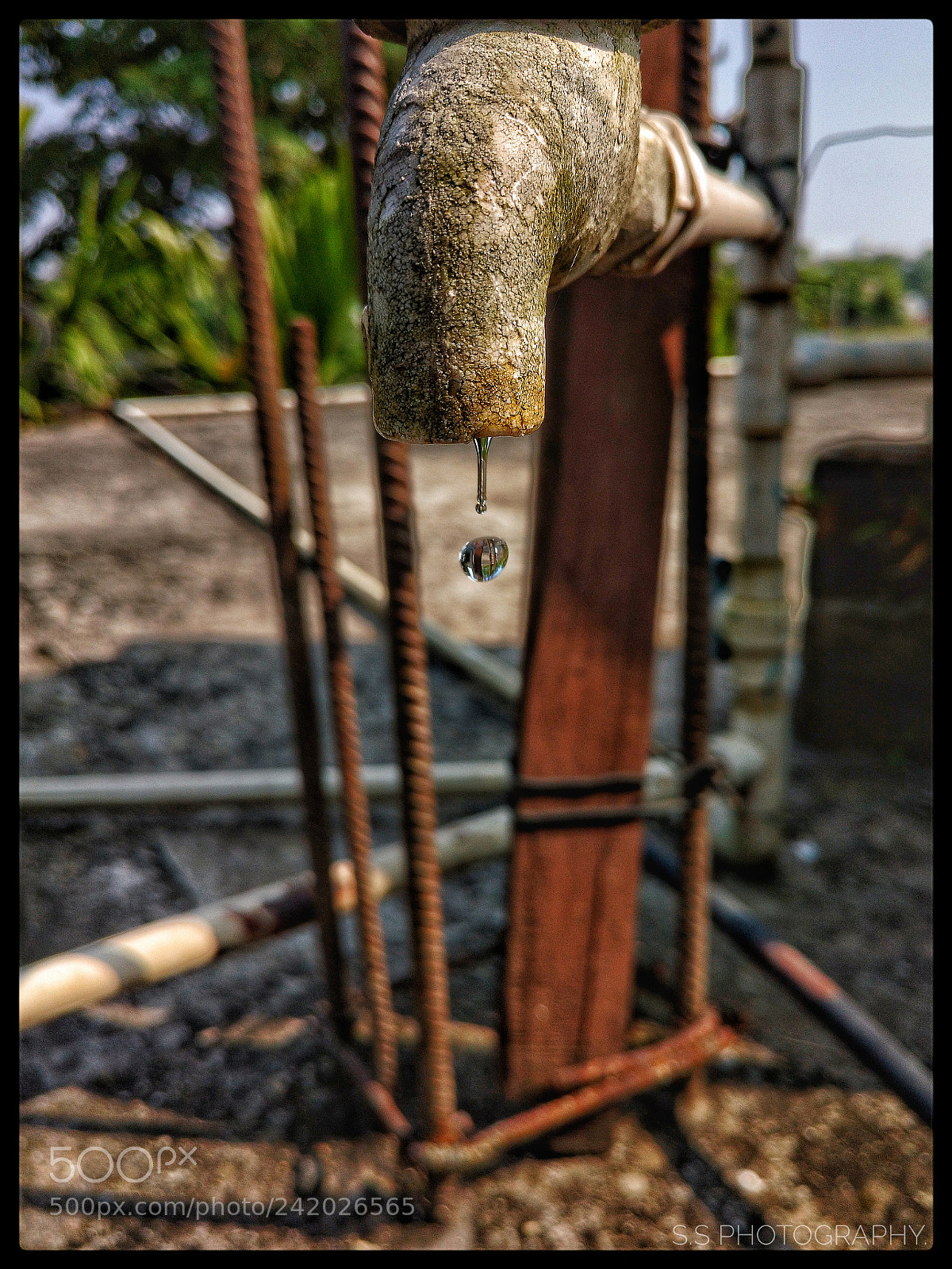 Motorola Moto X Play sample photo. Water drop? photography