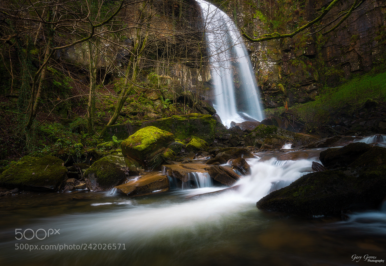 Nikon D800 sample photo. Melincourt fall's photography