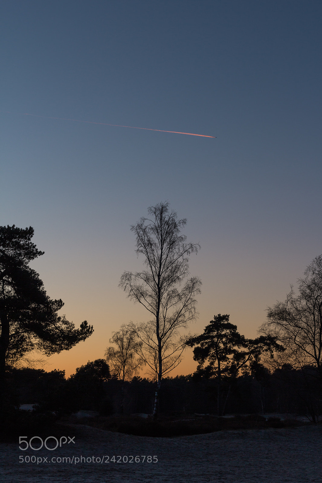 Canon EOS 60D sample photo. Airplane above the sunset photography