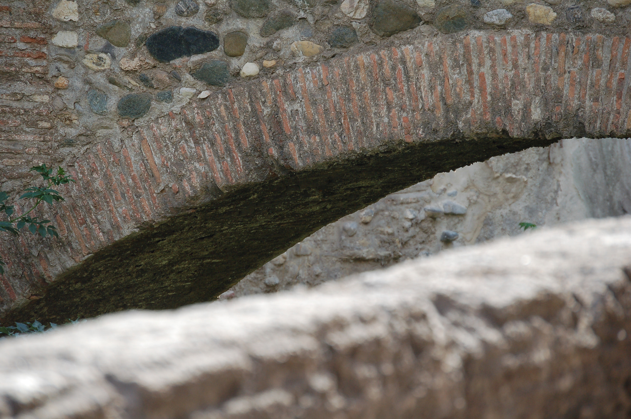 Nikon D50 sample photo
