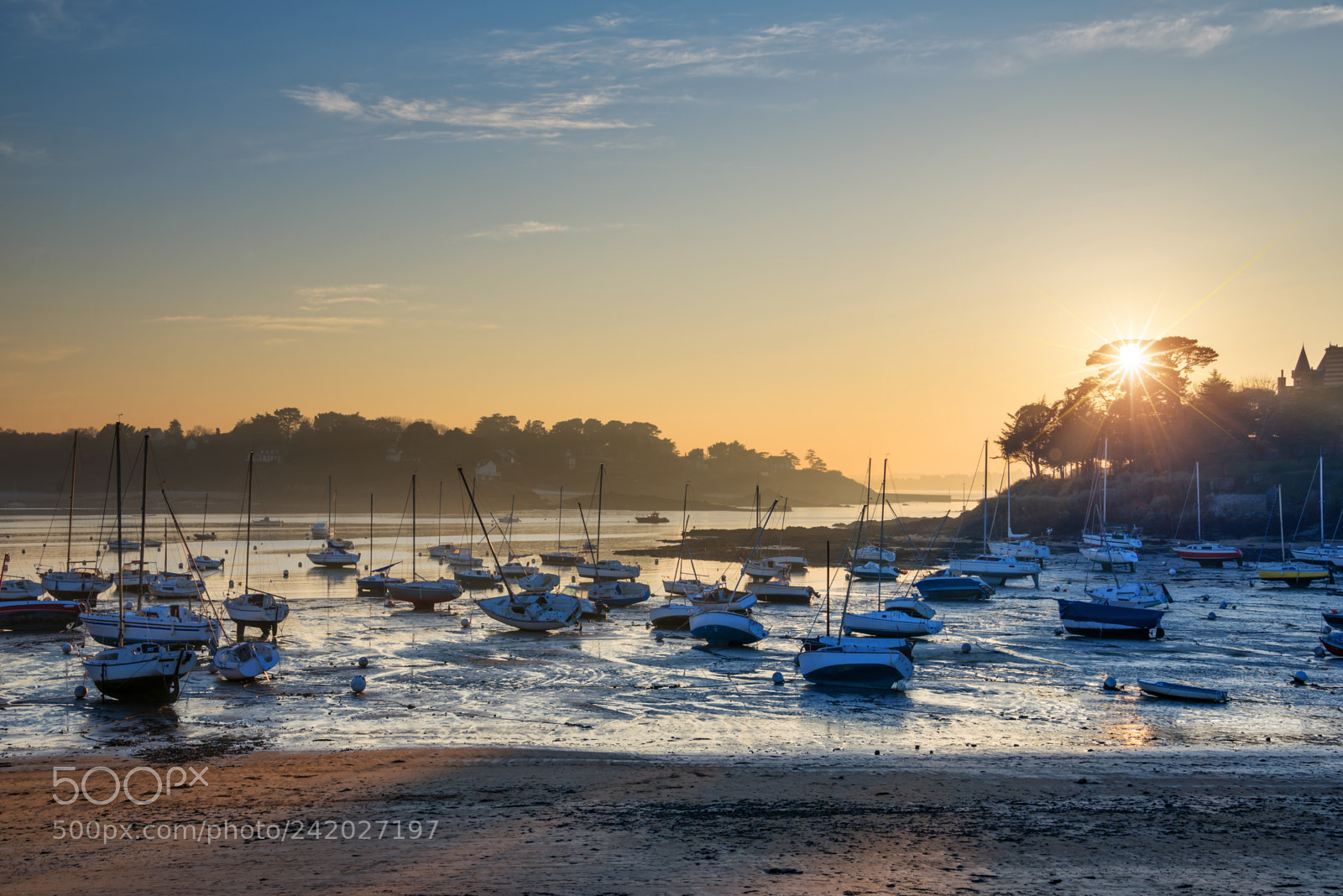 Nikon D600 sample photo. Sailboats at low tide photography