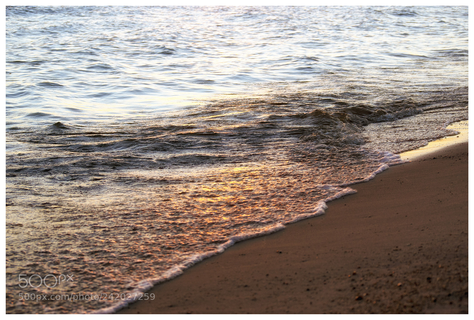 Nikon D810 sample photo. C ｏｌｏｒ photography