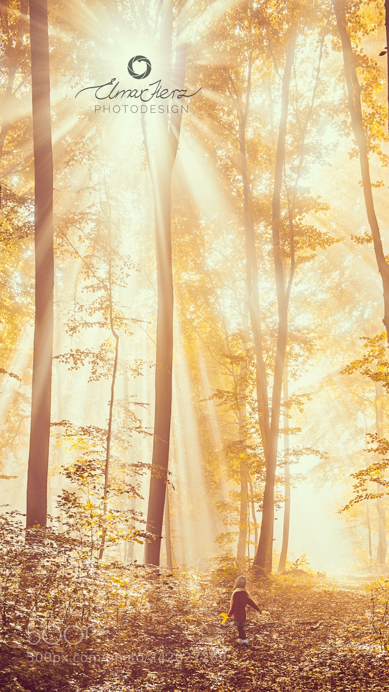Nikon D4 sample photo. I see the sunbeams photography