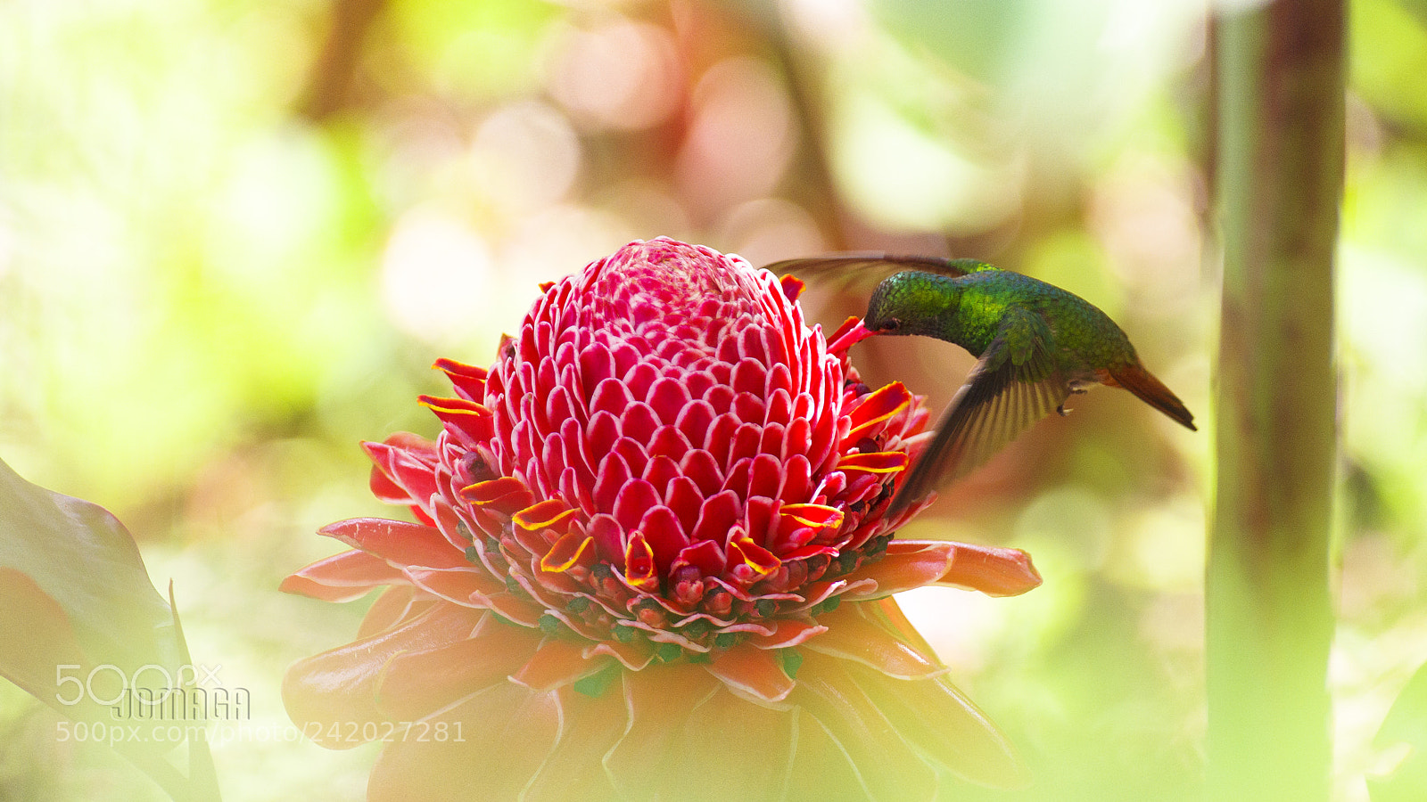 Pentax K-1 sample photo. In dreams photography