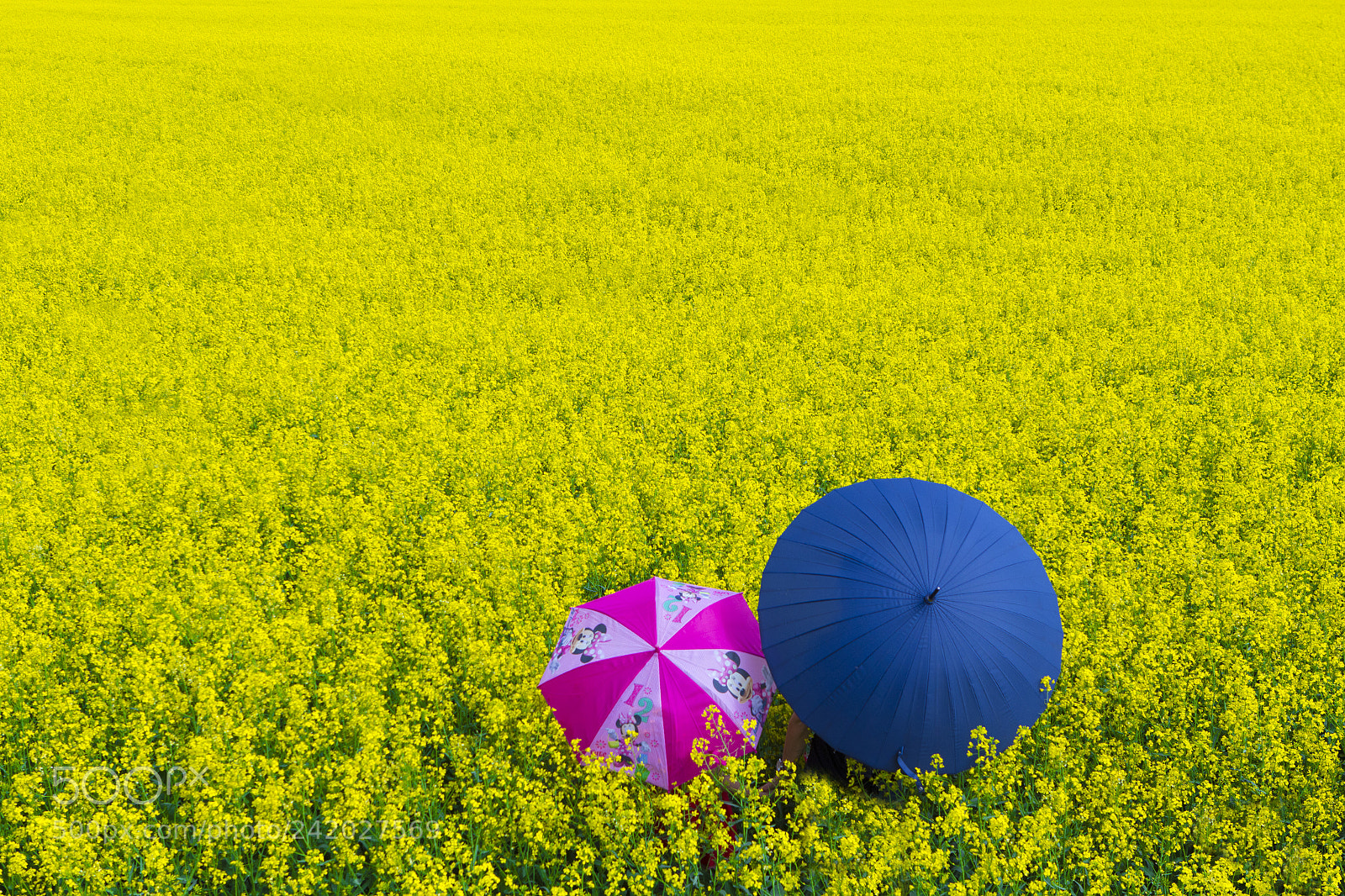 Canon EOS 60D sample photo. 2 umbrella photography