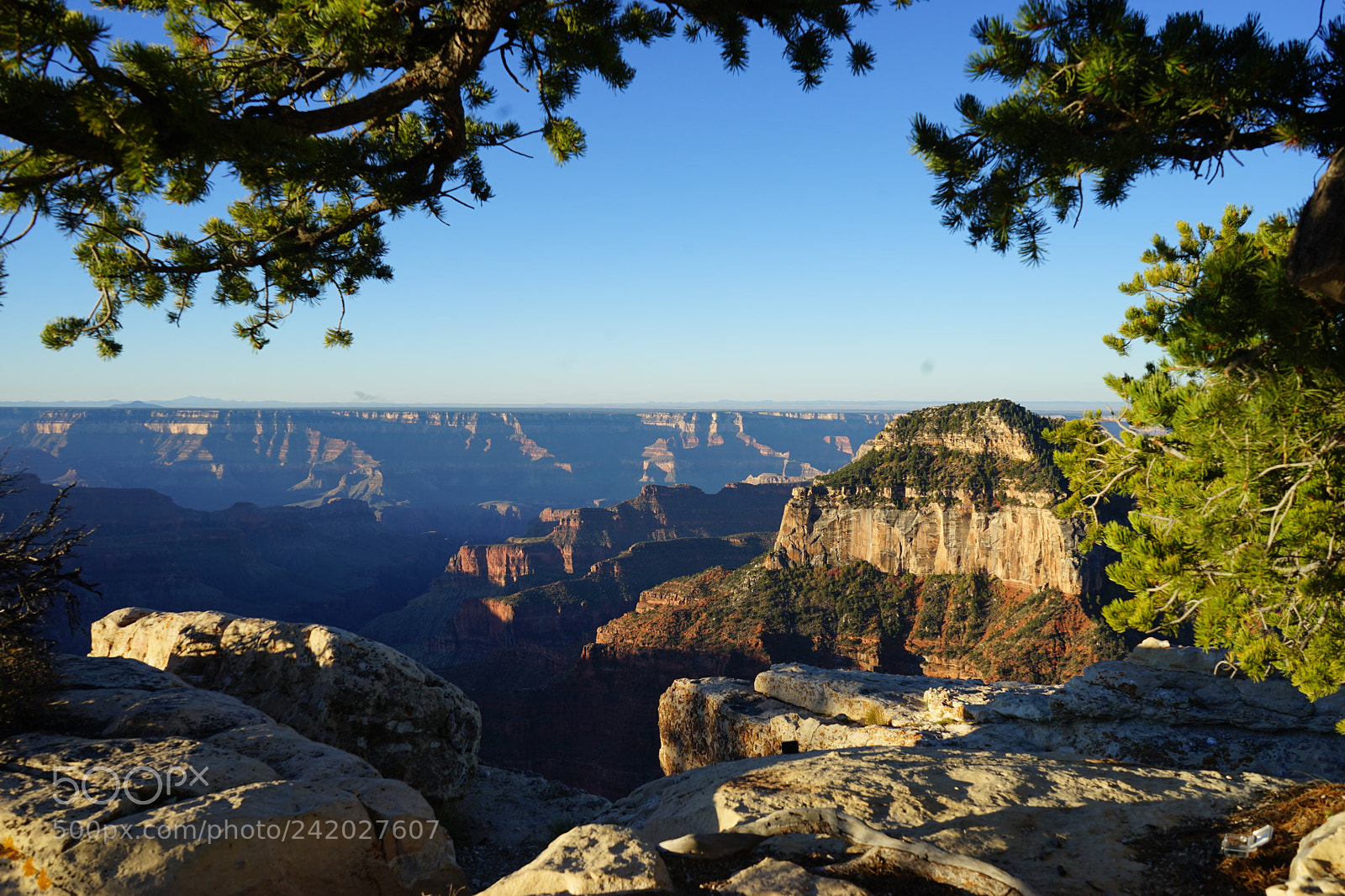Sony a7 II sample photo. Grand canyon n.p. north photography