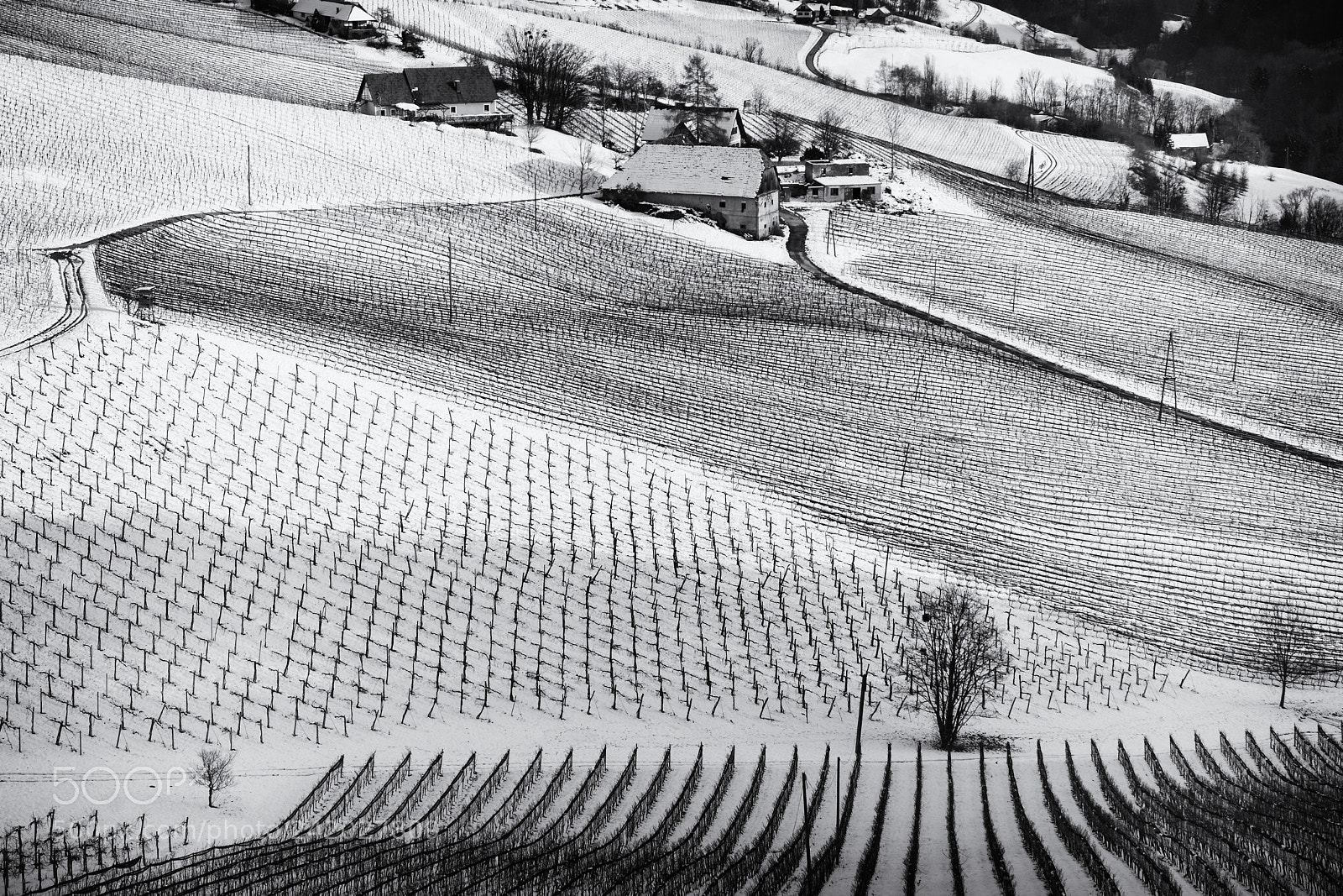 Nikon D7100 sample photo. Nice winterday photography