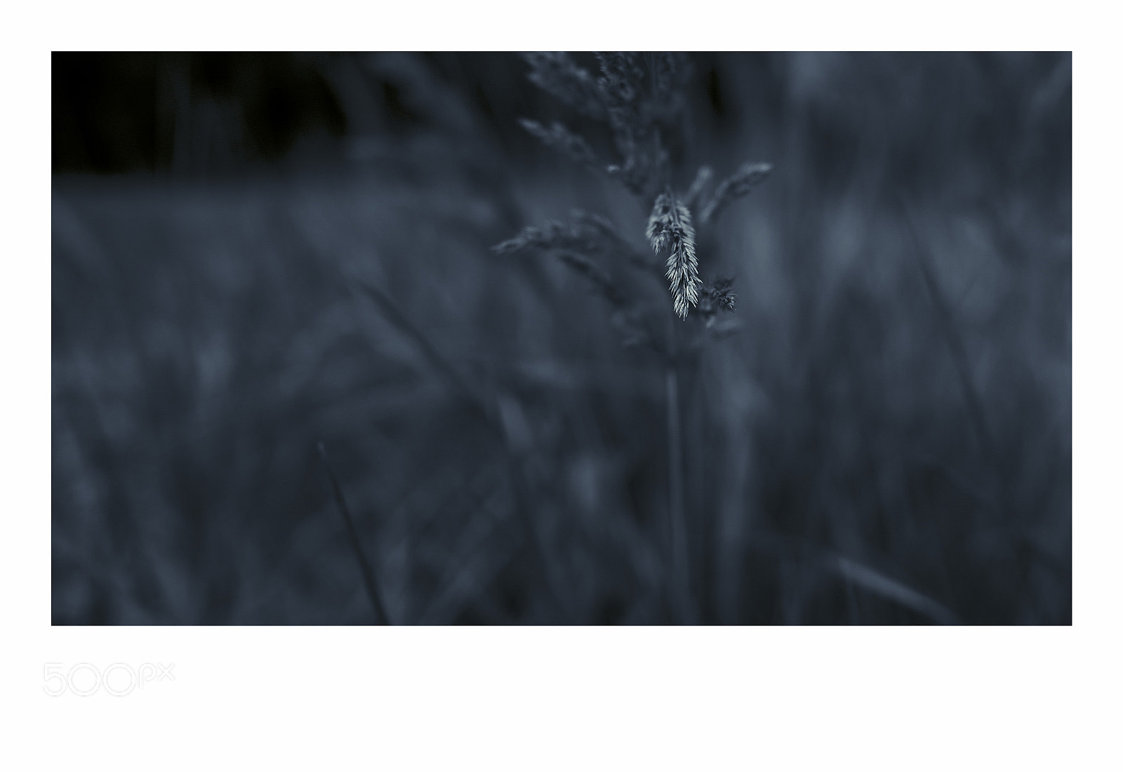 Fujifilm X-T1 sample photo. Dzintari photography