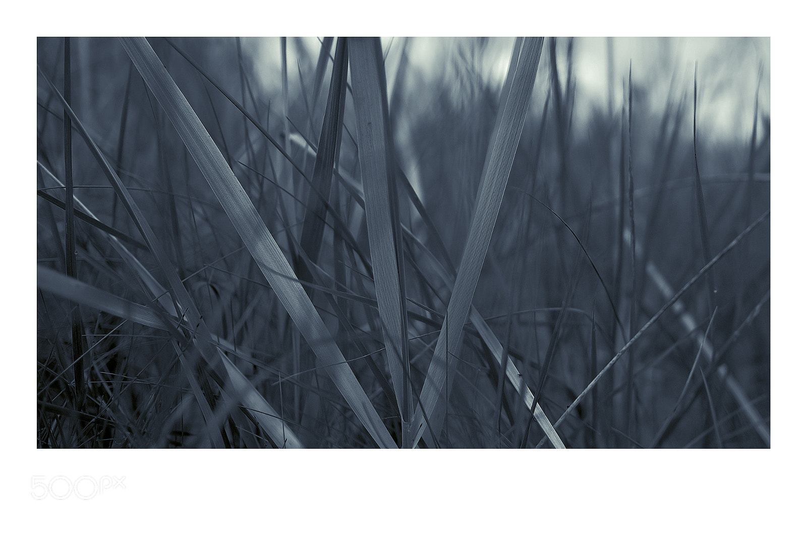 Fujifilm X-T1 sample photo. Dzintari photography