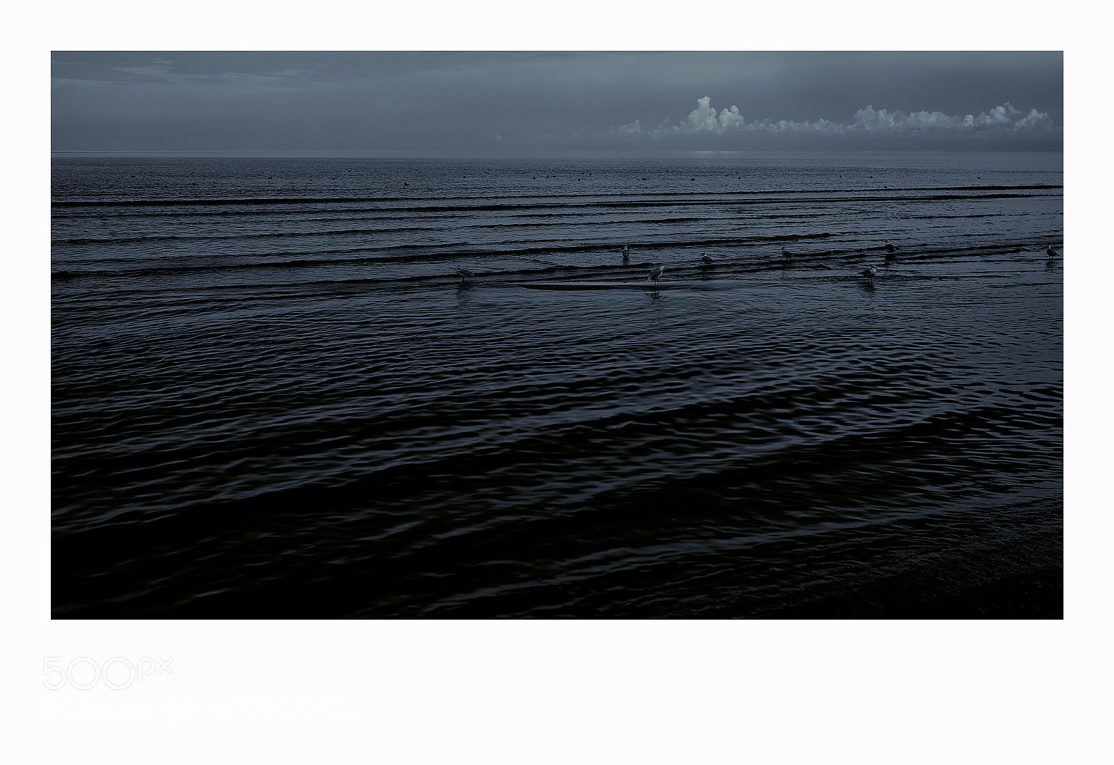 Fujifilm X-T1 sample photo. Dzintari photography