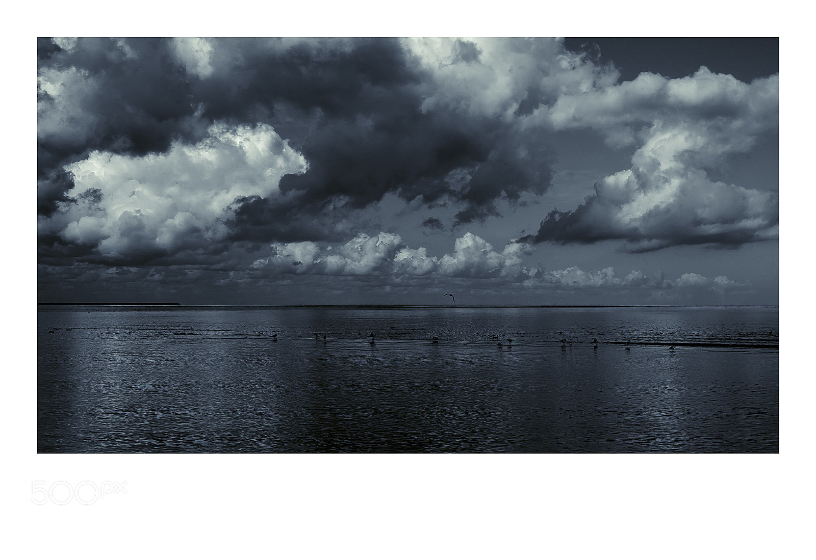 Fujifilm X-T1 sample photo. Dzintari photography