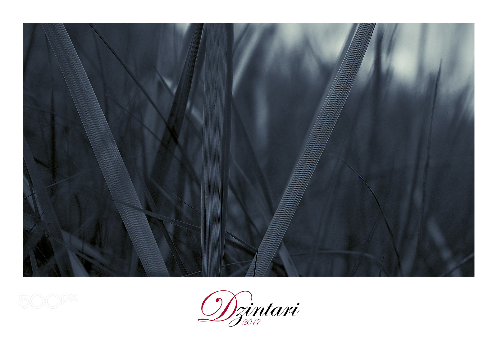 Fujifilm X-T1 sample photo. Dzintari photography